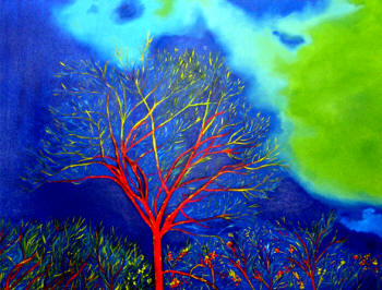 Red Tree - Oil on Canvas - 20" x 24"